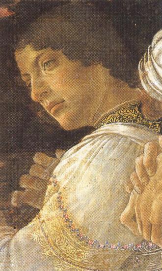 Sandro Botticelli Young kneeling Mago (mk36)